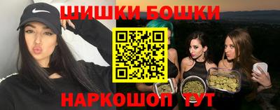 сатива Гатчина