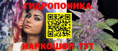 ALPHA-PVP Гай