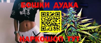 сатива Гатчина