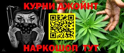 сатива Гатчина