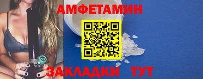 сатива Гатчина