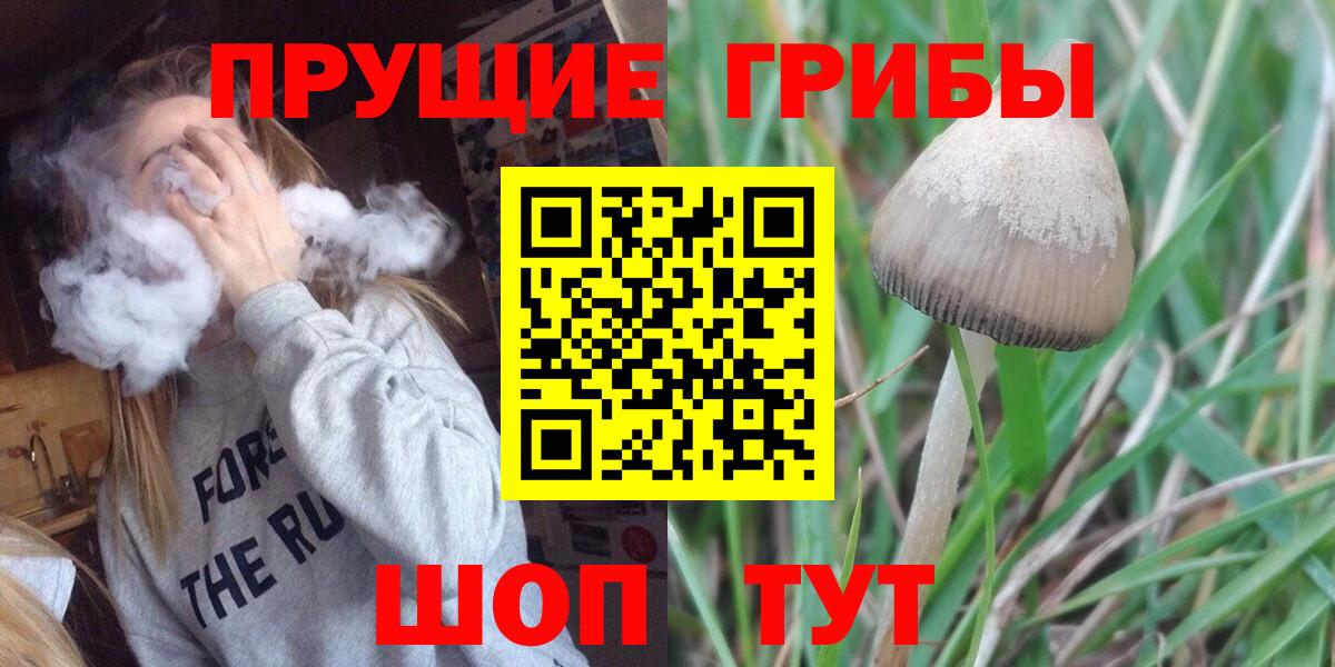 Новоалтайск  Галлюциногенные грибы Magic Shrooms  Вход с VPN 